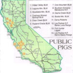 2017 California Public Land Pig Hunting Reports Plus Maps BLM And