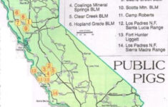 2017 California Public Land Pig Hunting Reports Plus Maps BLM And