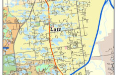 Aerial Photography Map Of Lutz FL Florida