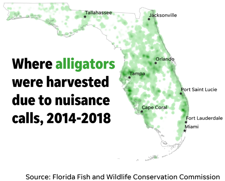 Florida Alligator Territory.Maps