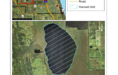 Alligators In Florida Map Printable Maps