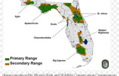 Alligators In Florida Map Time Zones Map World