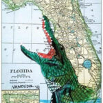 Alligators In Florida Map Time Zones Map World