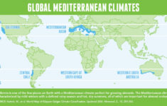 Almond Production California Almond Farms Map Printable Maps