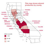 Almond Production California Almond Production Map Printable Maps
