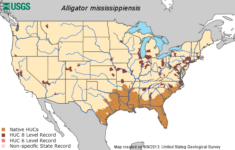 American Alligator Range Collection Sites doesn t Seem To Include