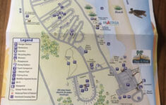 Anastasia State Park Campground St Augustine Florida Page 3