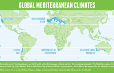 Annual Reports And Factsheets California Almonds Your Favorite