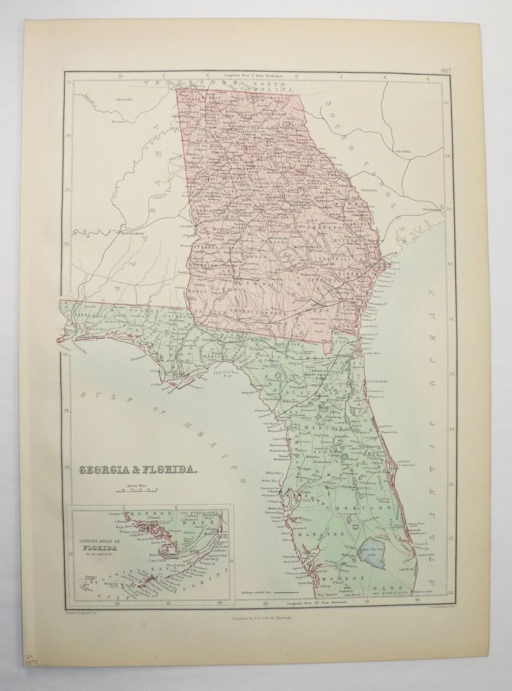 Antique Florida And Georgia Map 1873 A C Black Map Florida Gift For 