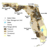 Bear Range Map 2019 Florida Black Bear Range Map 2019 FWC Florida