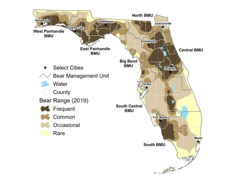 Bears In Florida Map