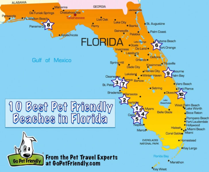 Best Florida Gulf Coast Beaches Map