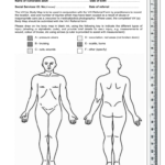 Body Map Template Fill Online Printable Fillable Blank PdfFiller