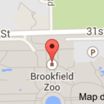 Brookfieldzoo Google Search Zoo Map Brookfield Zoo Map