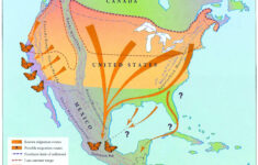 Butterfly Migration Patterns Google Search Monarch Butterfly