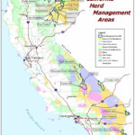 Buy And Find California Maps Bureau Of Land Management Northern