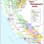 California Herd Management Areas Bureau Of Land Management