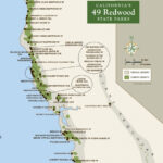 California Redwood Forests Where To See The Big Trees Redwood Forest