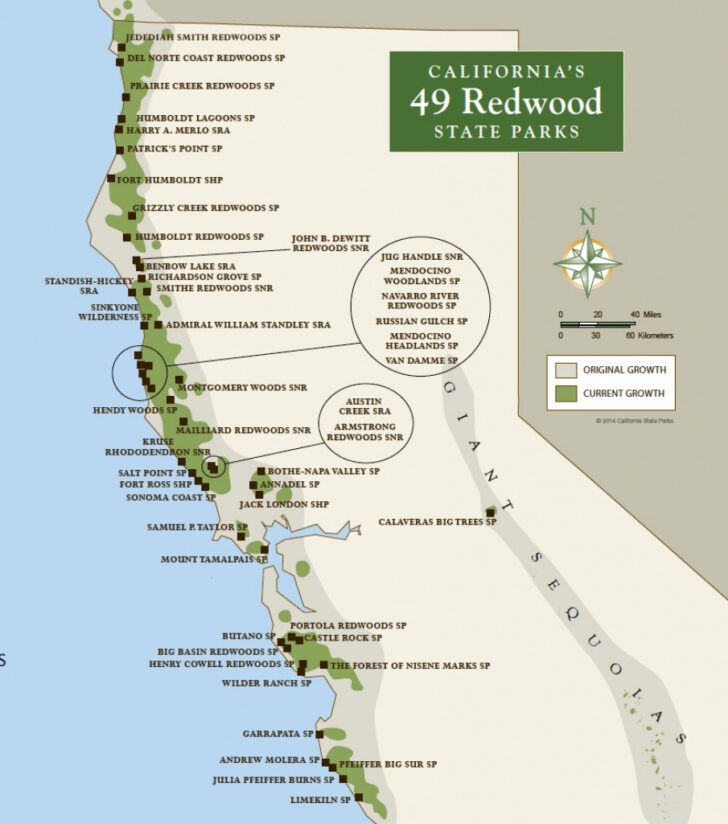 Redwood Forest California Map