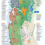 CALIFORNIA S WINE GROWING REGIONS