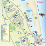 Campground Map Anastasia State Park Florida In 2019 Florida
