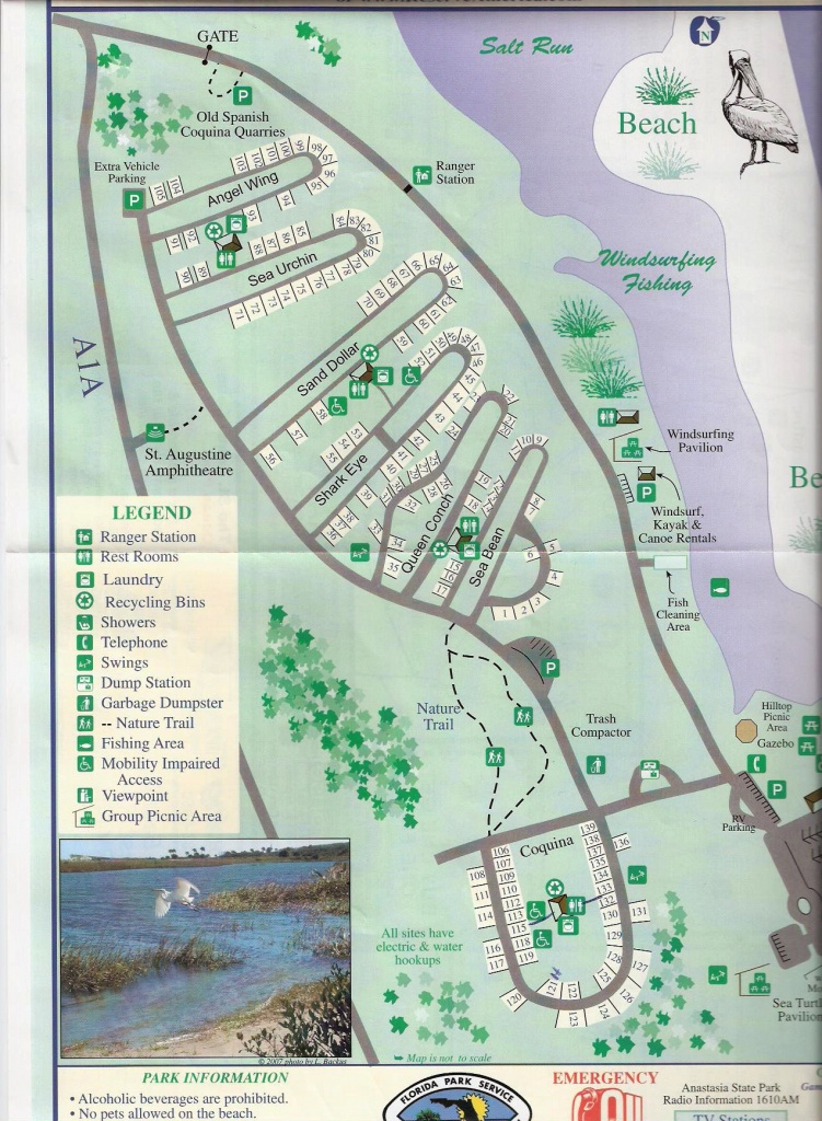 Campground Map Anastasia State Park St Augustine Florida 