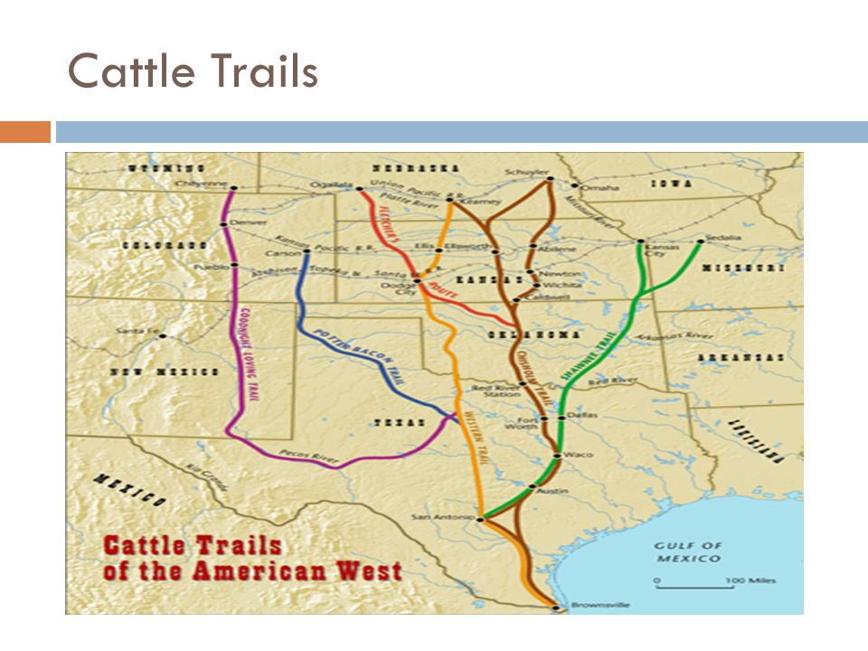 Cattle Trails Of The American West Google Search Cattle Trails 