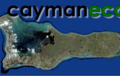Cayman Eco Beyond Cayman Climate Change Will Transform Cooling