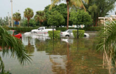 Cayman Eco Beyond Cayman How It Feels Living In A City That Will Soon