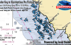 Cedar Key Steinhatchee Florida Fishing Spots Inshore Offshore GPS