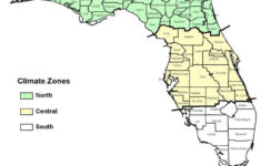 chapter 11 CHAPTER 11