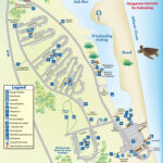 Coastal Treasure Camping In Anastasia State Park Florida Rambler