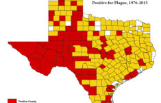 Cougars In Tennessee State Of Tennessee Wildlife Resources Agency