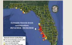 Current Red Tide Map Florida Free Printable Maps