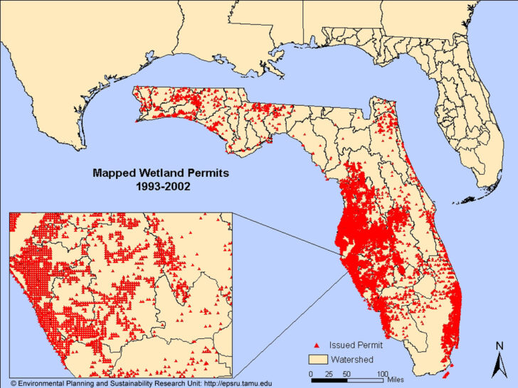 Florida Dep Wetland Maps