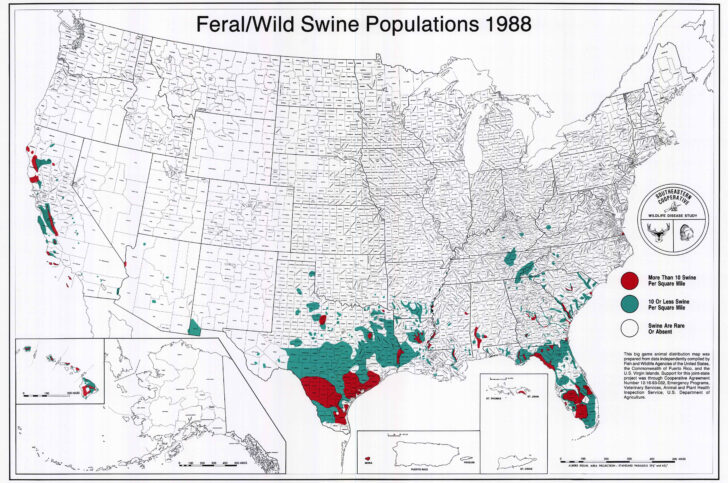 Feral Hogs In The United States | Wells Printable Map