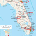 Florida Cruise Port Choices