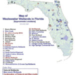 Florida DEP Domestic Wastewater Wetlands In Florida Wastewater