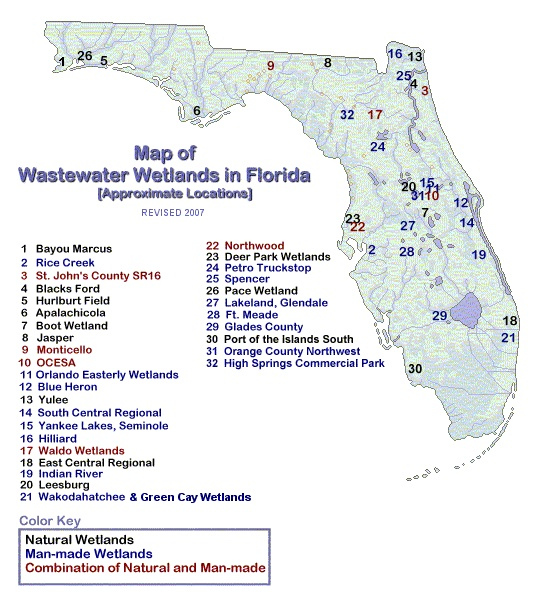 Florida DEP Domestic Wastewater Wetlands In Florida Wastewater 