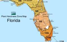 Florida Gardening Zones Map Beautiful Flower Arrangements And Flower