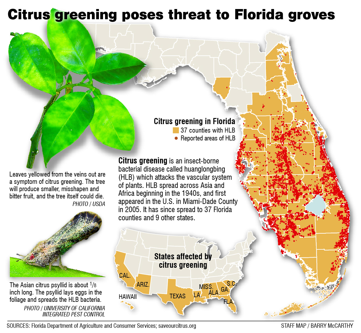 Florida Orange Groves Map Printable Maps