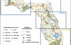 Florida Rails To Trails Maps Printable Maps