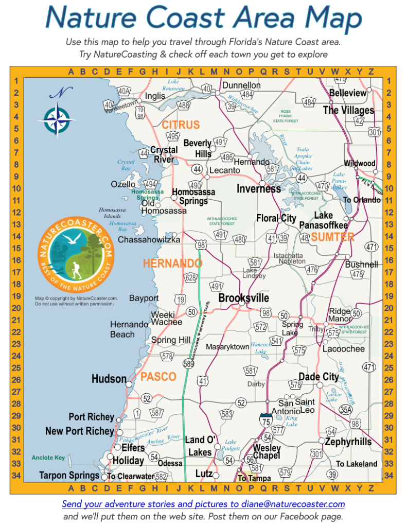 Florida s 11Th Congressional District Wikipedia Lecanto Florida Map 