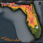 Florida Topography Map Colorful Natural Physical Landscape Florida