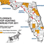 Florida Whitetail Experience Huntingnet Forums Florida Wild Hog