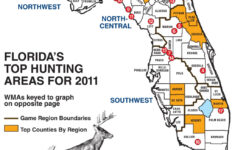 Florida Whitetail Experience Huntingnet Forums Florida Wild Hog