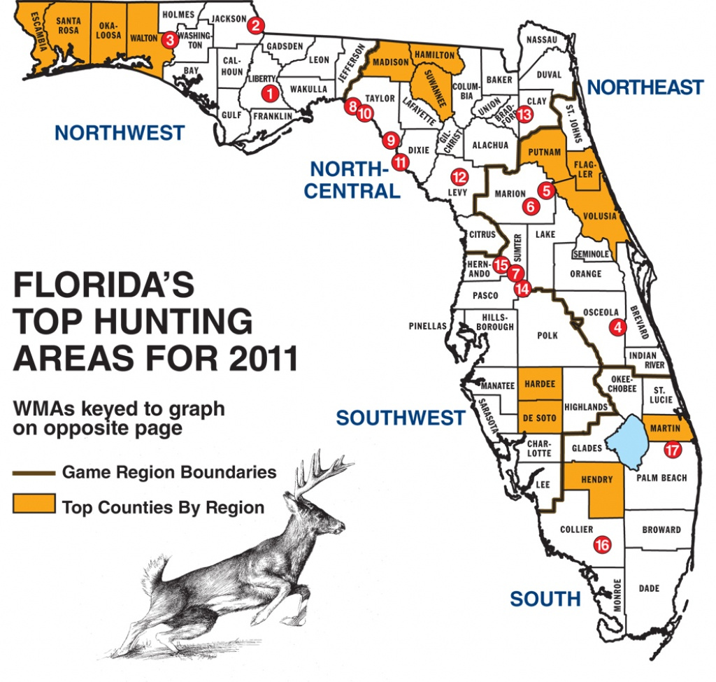 Florida Whitetail Experience Huntingnet Forums Florida Wild Hog 