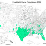 Florida Wild Hog Population Map Printable Maps