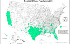 Florida Wild Hog Population Map Printable Maps