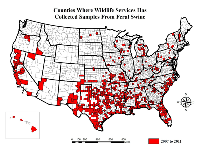 Us Feral Hog Population Map